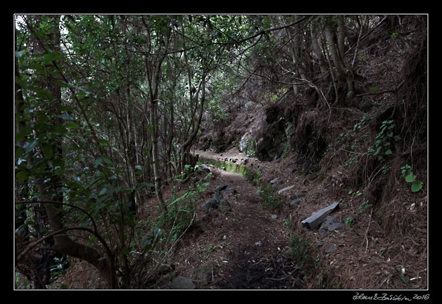 La Palma - Barranco de la Madera -