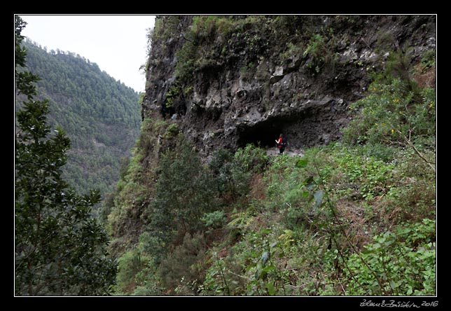 La Palma - Barranco de la Madera -