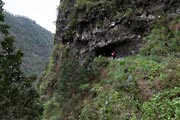 La Palma - Barranco de la Madera -