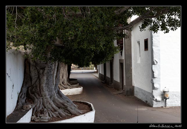 La Palma - Barranco de la Madera - Santuario de N.S. de las Nieves