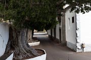 La Palma - Barranco de la Madera - Santuario de N.S. de las Nieves