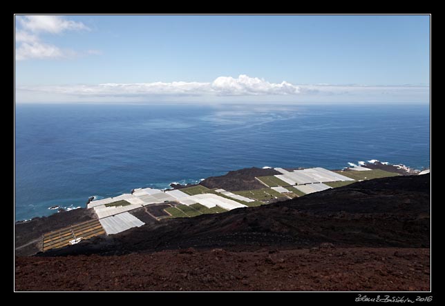 La Palma - south - banana plantations