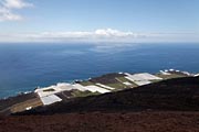 La Palma - south - banana plantations