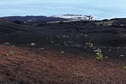 La Palma - south -   Punta de Fuencaliente