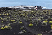 La Palma - south -   Punta de Fuencaliente