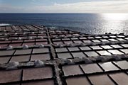 La Palma - south - Salinas de Fuencaliente