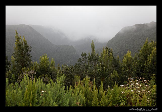 La Palma - NorthEast - Los Tilos - Mirador de la Baranda