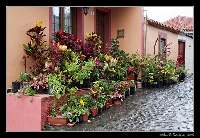 La Palma - NorthEast - San Andres