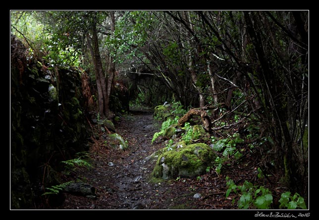 La Palma - NorthWest - La Zarza