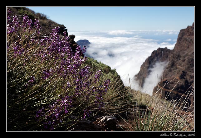 La Palma - Roque de los Muchachos -