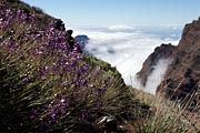 La Palma - Roque de los Muchachos -