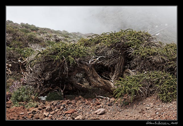 La Palma - Roque de los Muchachos -