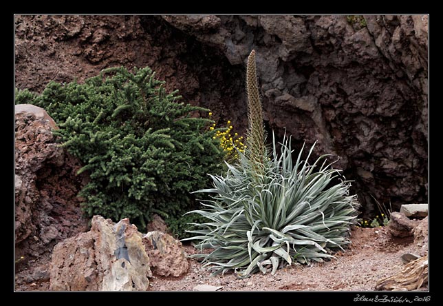 La Palma - Roque de los Muchachos -