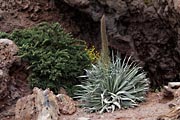 La Palma - Roque de los Muchachos -