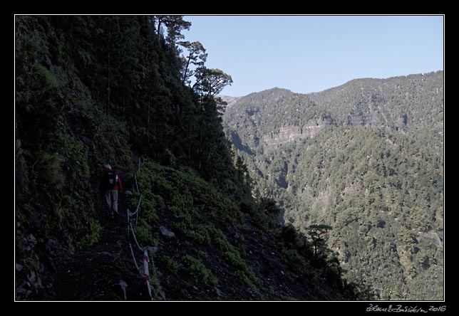 La Palma - Los Tilos -