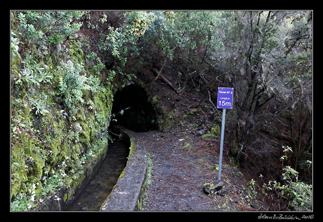 La Palma - Los Tilos -