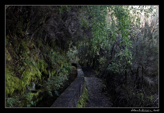 La Palma - Los Tilos -