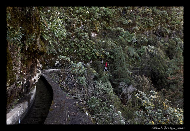 La Palma - Los Tilos -