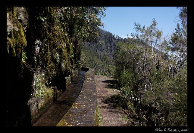 La Palma - Los Tilos -