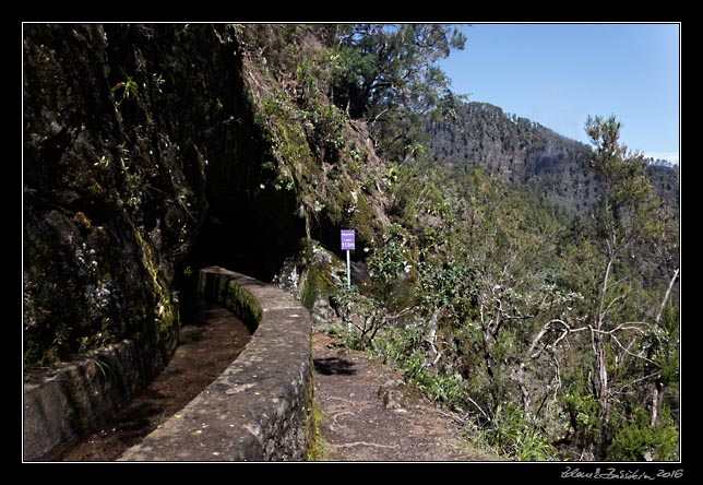 La Palma - Los Tilos -