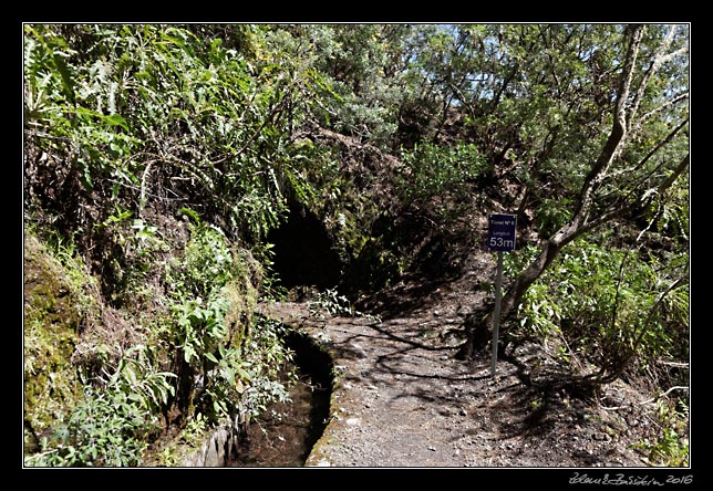 La Palma - Los Tilos -