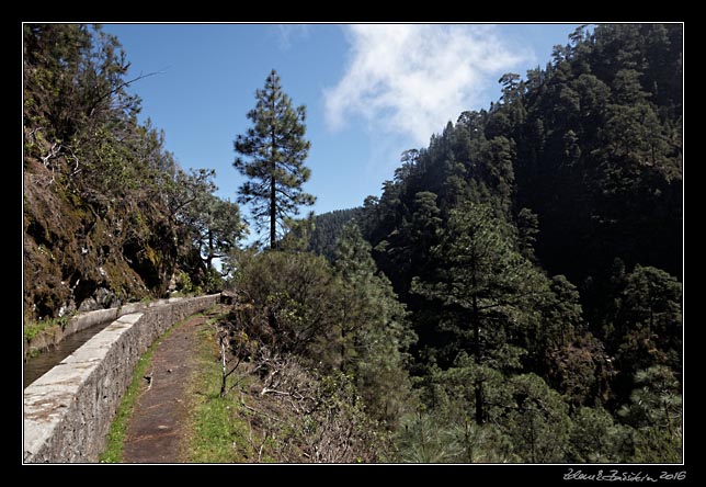 La Palma - Los Tilos -