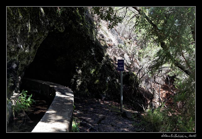 La Palma - Los Tilos -