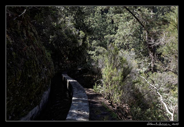 La Palma - Los Tilos -