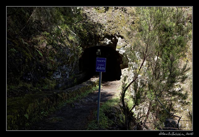 La Palma - Los Tilos -