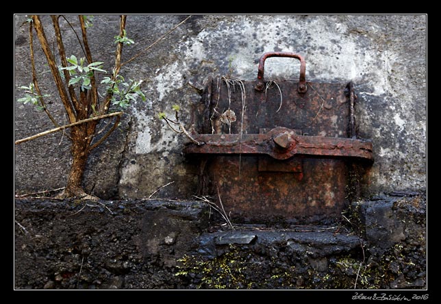 La Palma - Los Tilos -