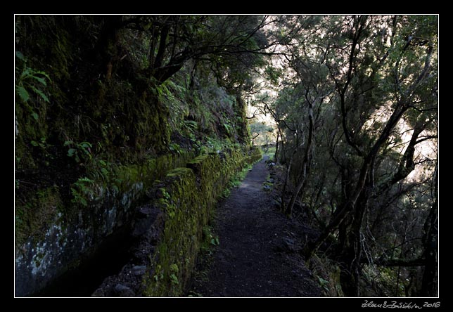 La Palma - Los Tilos -