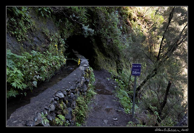 La Palma - Los Tilos -