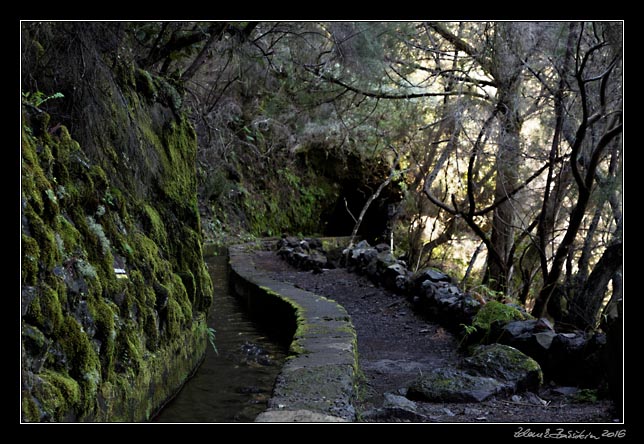 La Palma - Los Tilos -