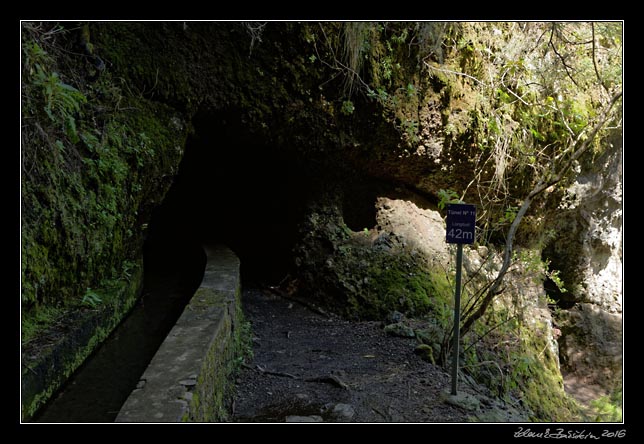 La Palma - Los Tilos -