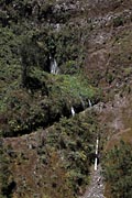 La Palma - Los Tilos - Fuente caldera de Marcos