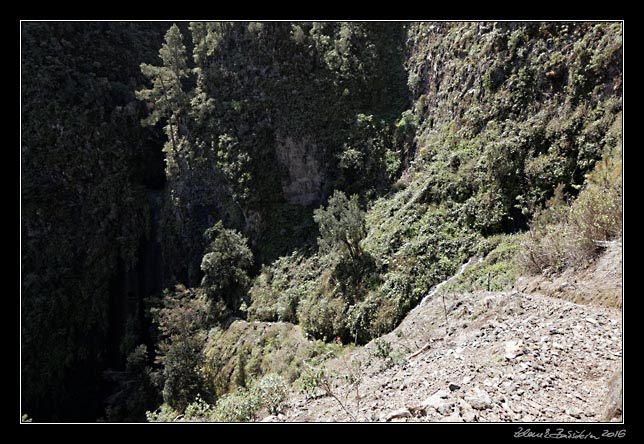 La Palma - Los Tilos - Fuente Caldera de Marcos