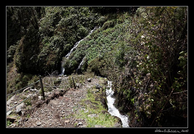 La Palma - Los Tilos -