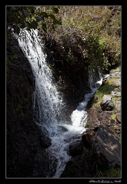 La Palma - Los Tilos - Fuente caldera de Marcos