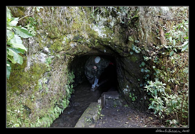 La Palma - Los Tilos -