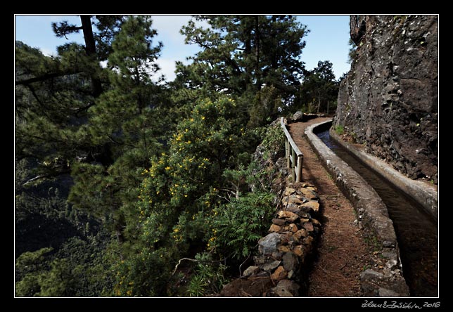 La Palma - Los Tilos -