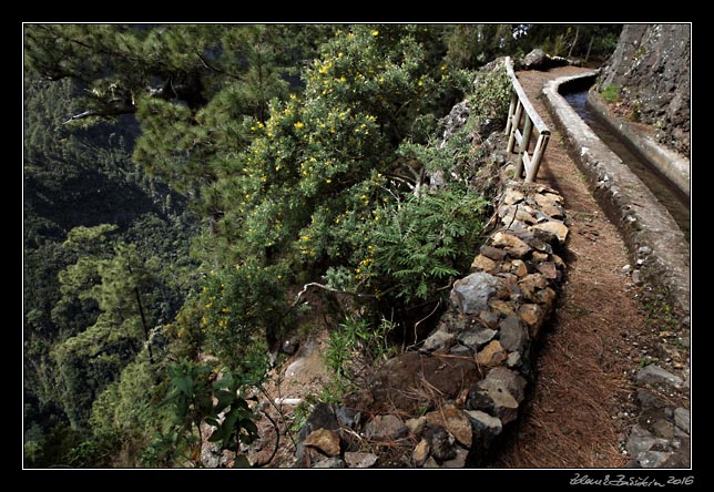 La Palma - Los Tilos -