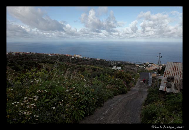 La Palma - Los Tilos - Los Sauces