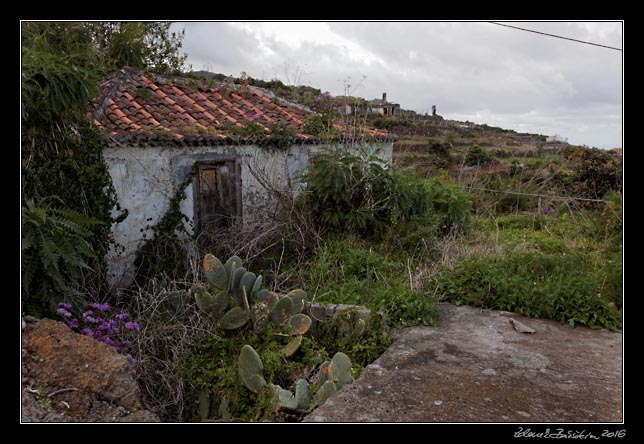 La Palma - Los Tilos -