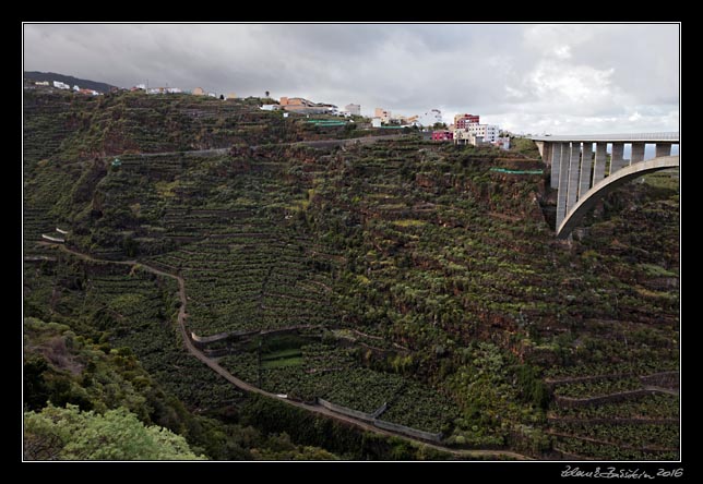 La Palma - Los Tilos - Los Sauces