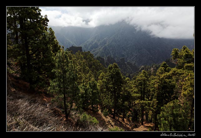 La Palma - Caldera Taburiente -