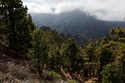 La Palma - Caldera Taburiente -