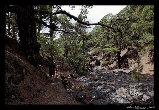 La Palma - Caldera Taburiente -