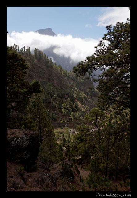 La Palma - Caldera Taburiente -