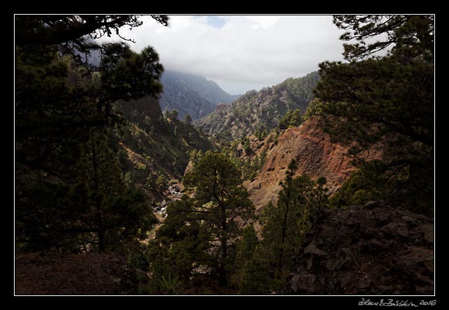 La Palma - Caldera Taburiente -