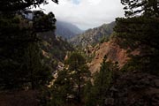 La Palma - Caldera Taburiente -